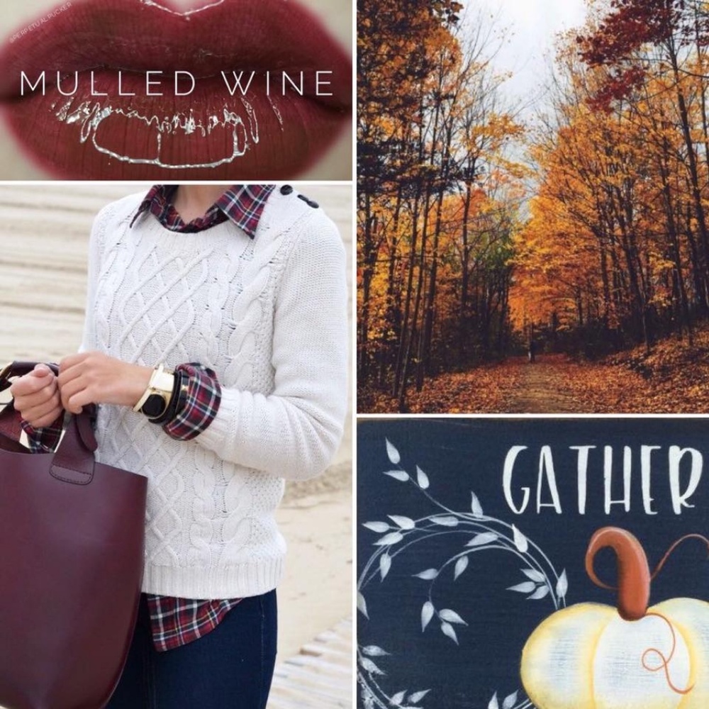 Mulled Wine LipSense